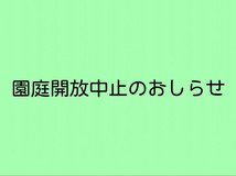 園庭開放中止のお知らせ