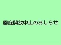 園庭解放中止について